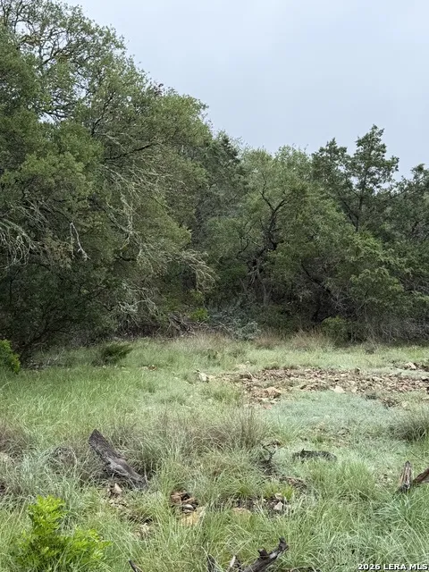 TBD SD 46071 Rocksprings, TX 78880