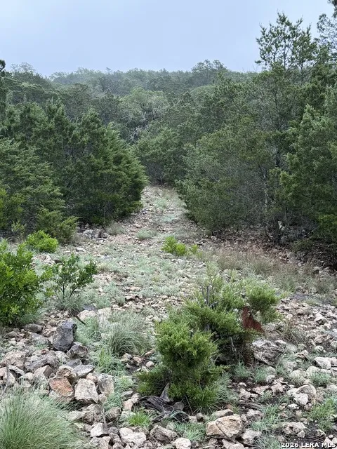 TBD SD 46071 Rocksprings, TX 78880