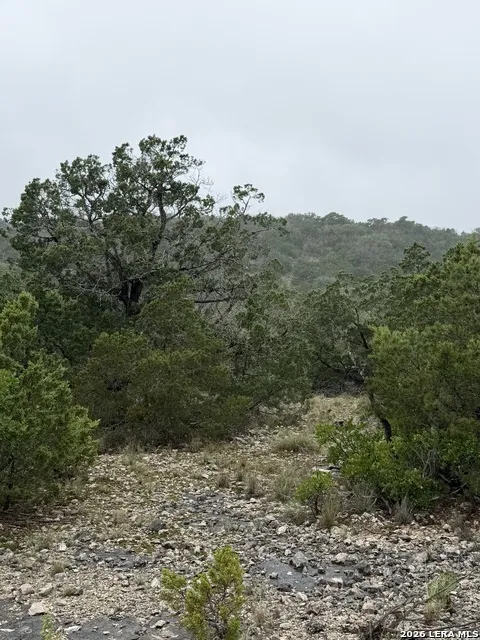 TBD SD 46071 Rocksprings, TX 78880