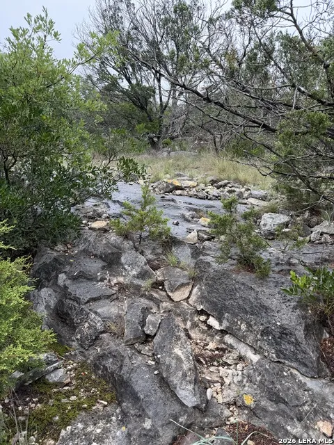 TBD SD 46071 Rocksprings, TX 78880
