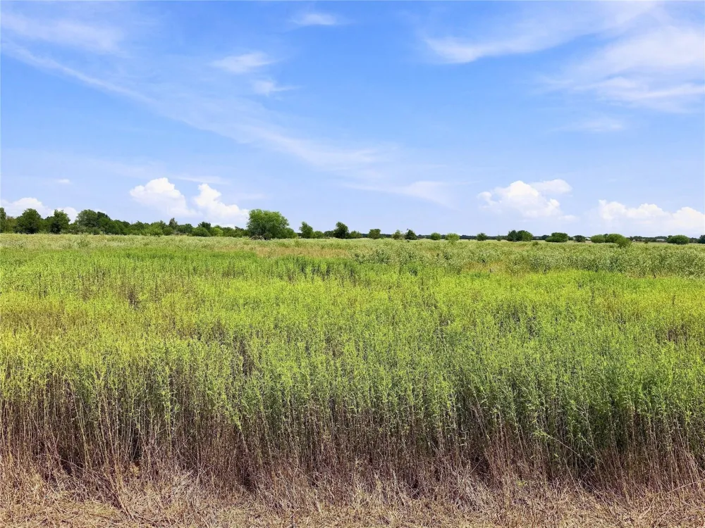 4688 Deadwood Lane Bryan, TX 77808
