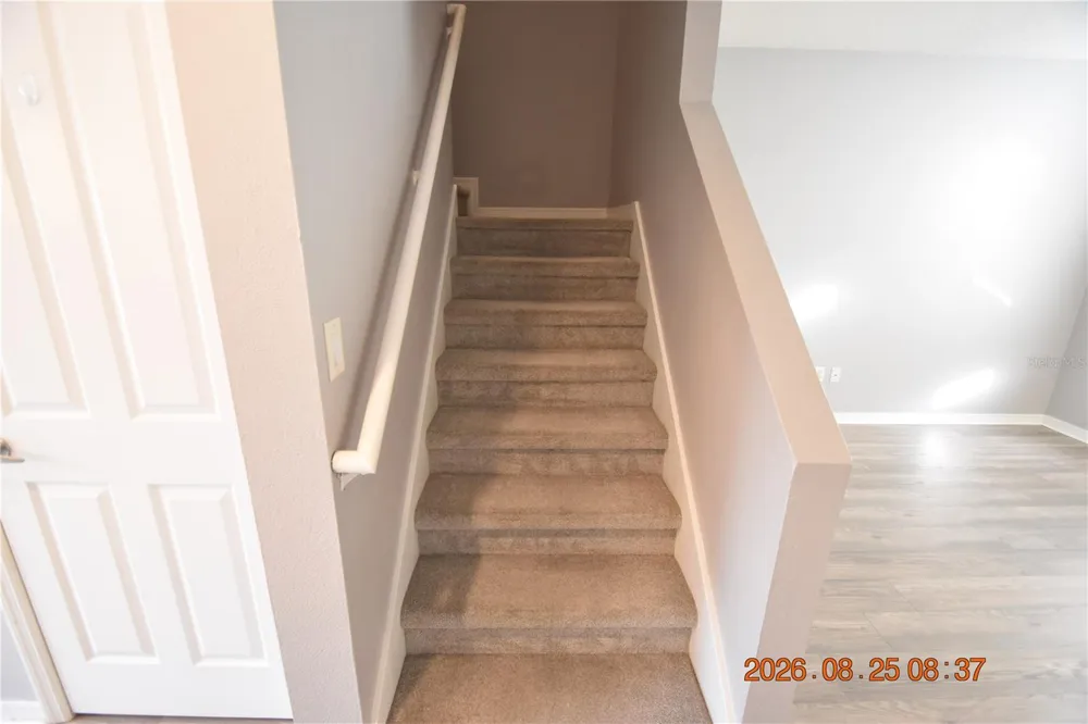 11509 FOUNTAINHEAD DRIVE Tampa, FL 33626