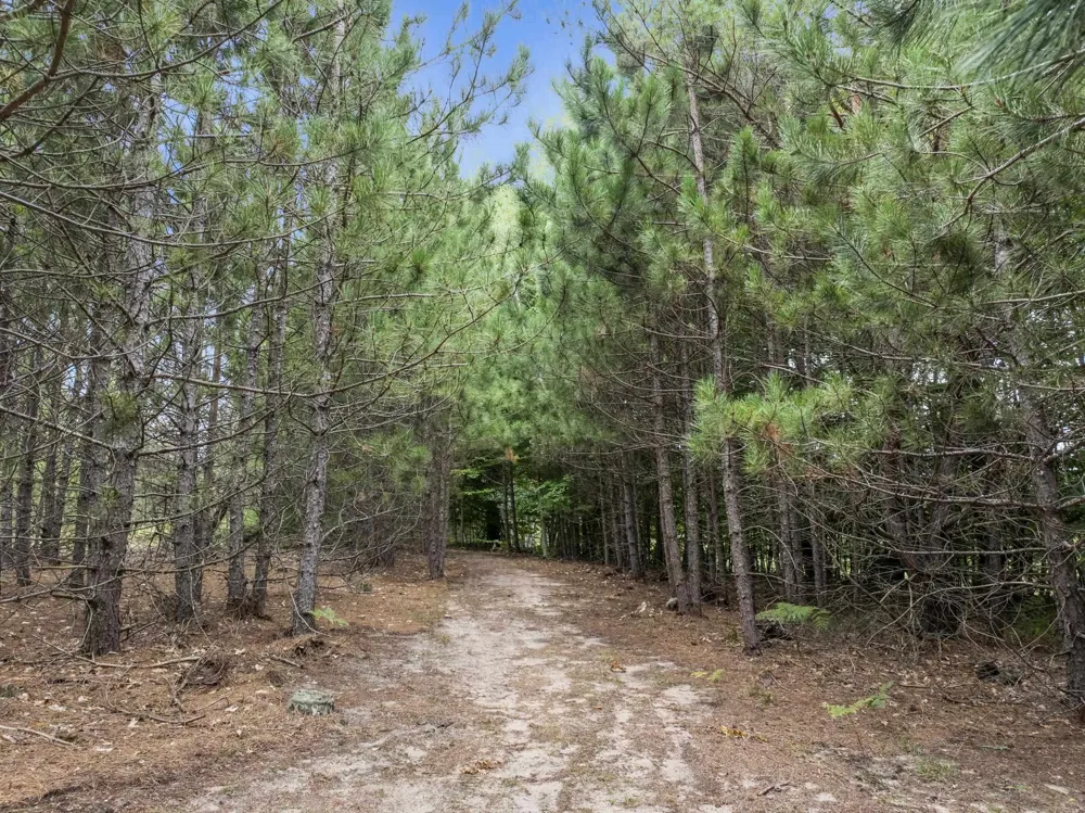 3250 Tamara Circle Green Lake Township, MI 49637