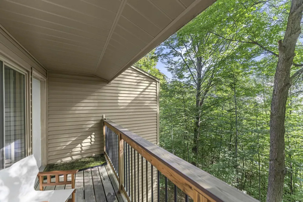 11292 S Cottonwood Drive Elmwood Charter Township, MI 49684