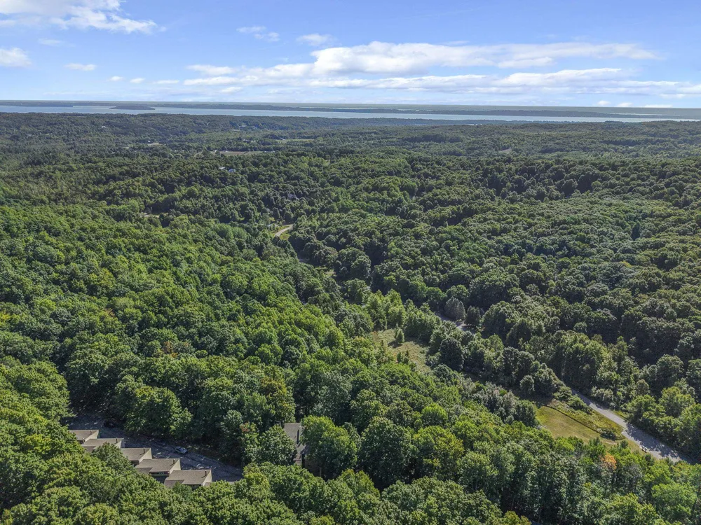 11292 S Cottonwood Drive Elmwood Charter Township, MI 49684