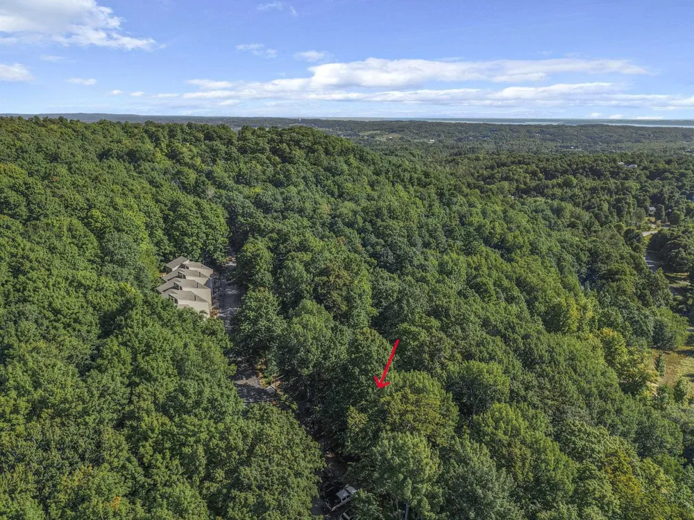 11292 S Cottonwood Drive Elmwood Charter Township, MI 49684