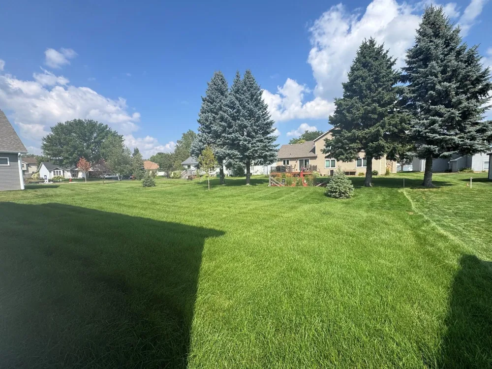 9820 Upper 89th Street S Cottage Grove, MN 55016