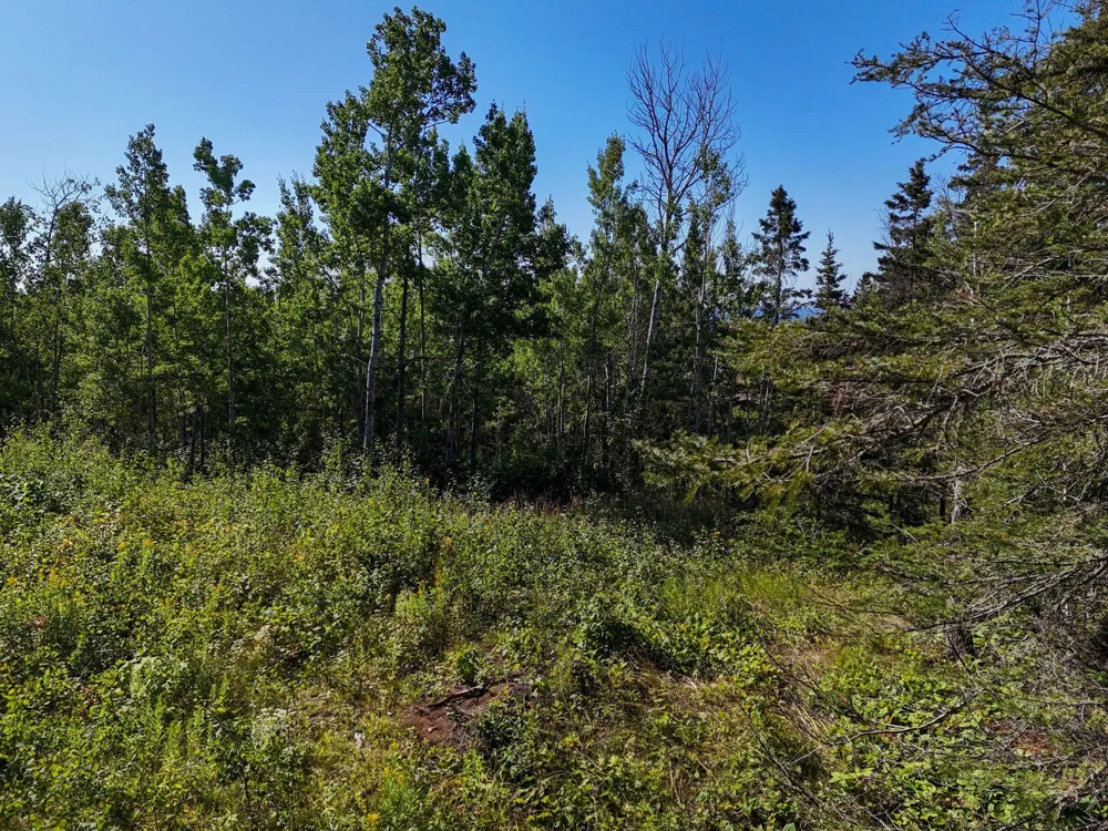 XXX Casper's Hill Road Grand Marais, MN 55604