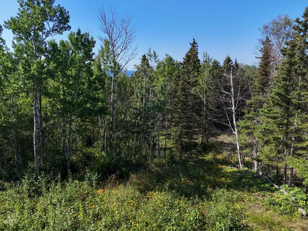 XXX Casper's Hill Road Grand Marais, MN 55604
