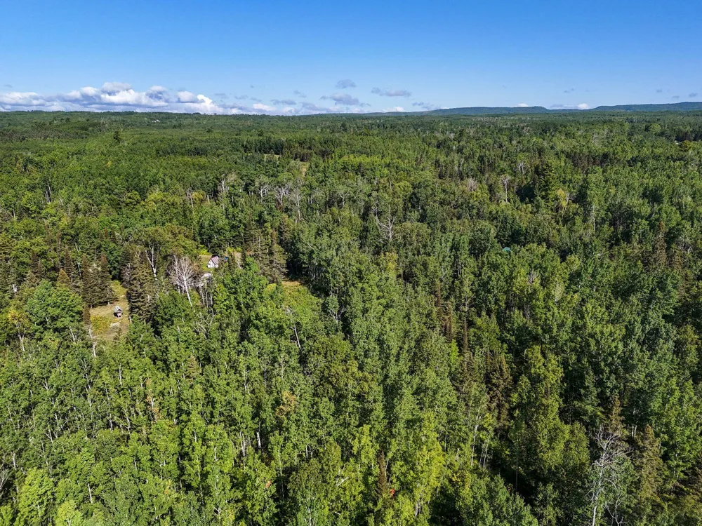 XXX Casper's Hill Road Grand Marais, MN 55604