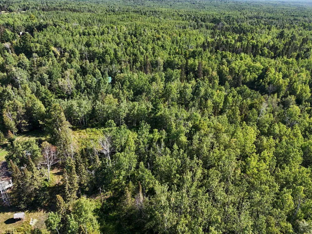XXX Casper's Hill Road Grand Marais, MN 55604