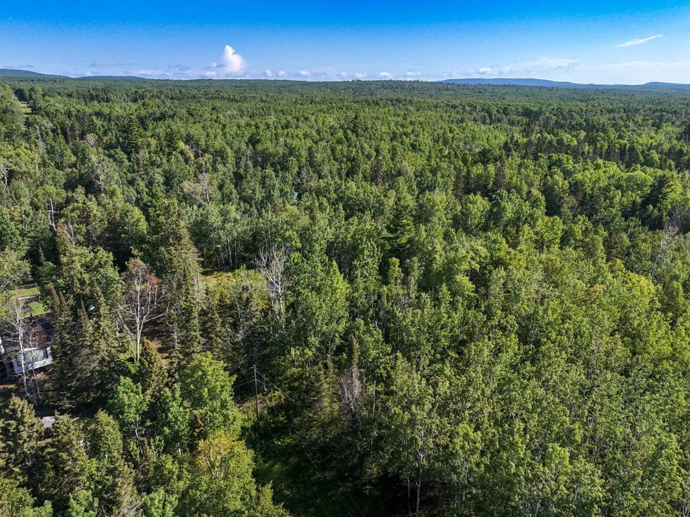 XXX Casper's Hill Road Grand Marais, MN 55604