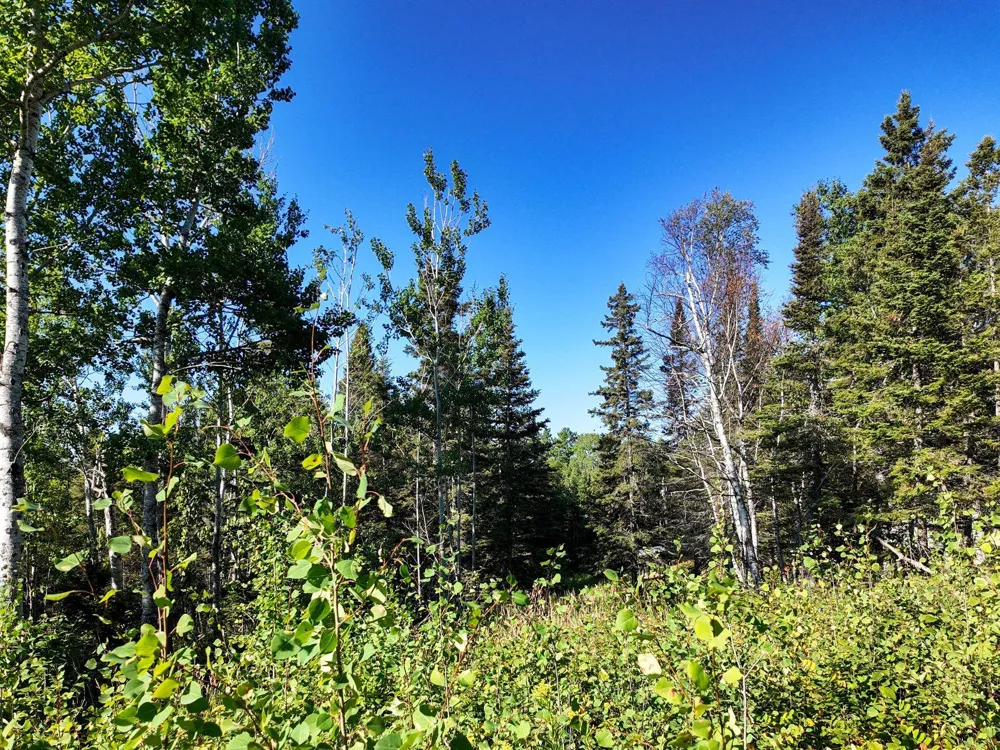 XXX Casper's Hill Road Grand Marais, MN 55604