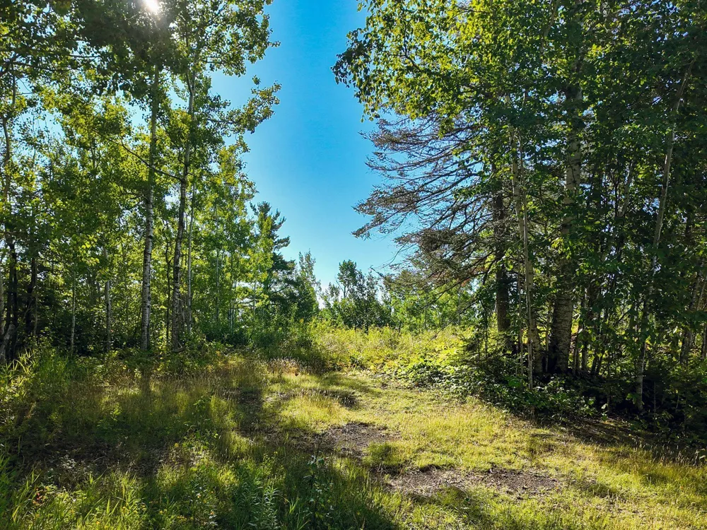 XXX Casper's Hill Road Grand Marais, MN 55604