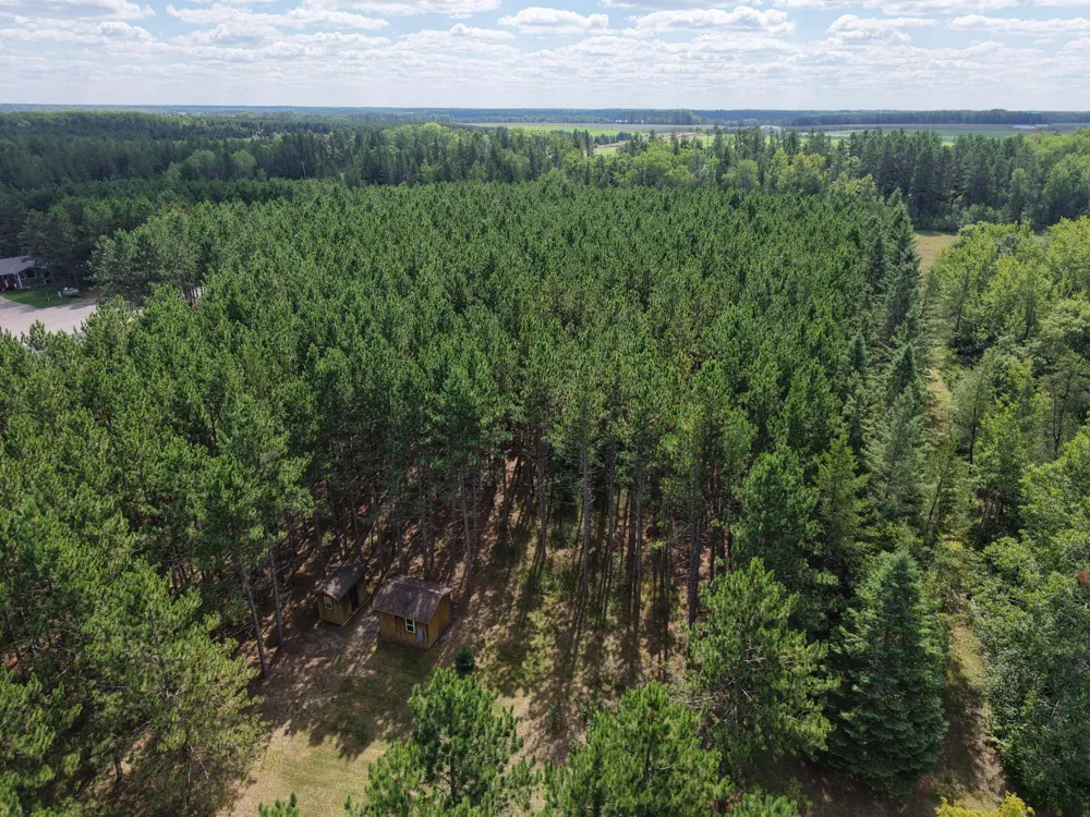 TBD East Avenue Nevis, MN 56467