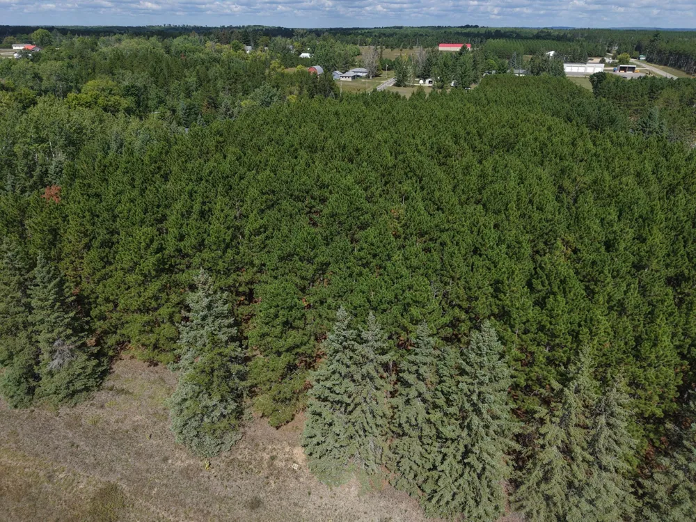 TBD East Avenue Nevis, MN 56467