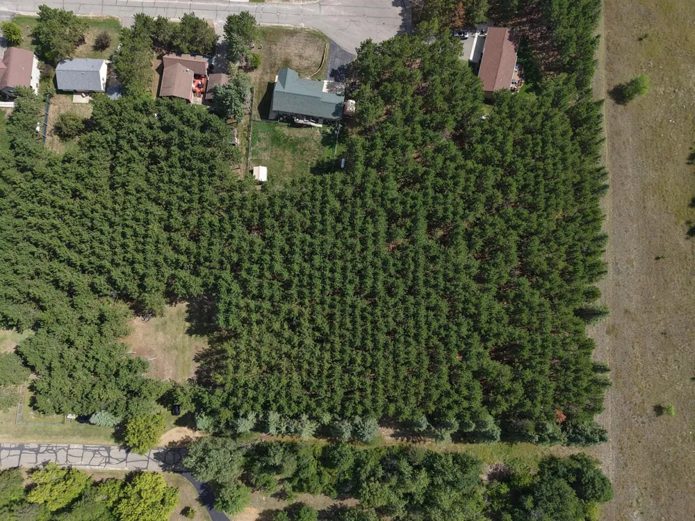 TBD East Avenue Nevis, MN 56467