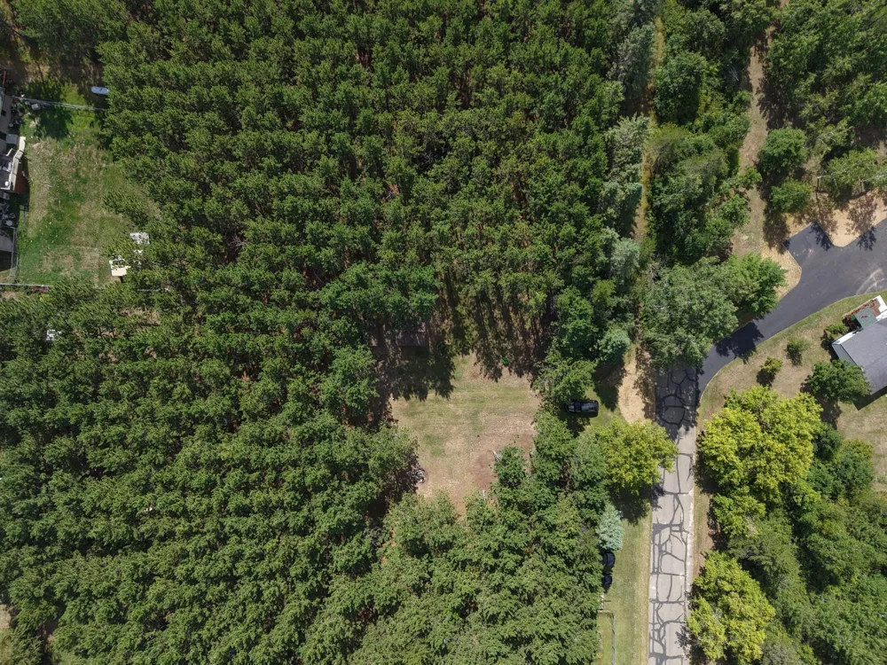 TBD East Avenue Nevis, MN 56467