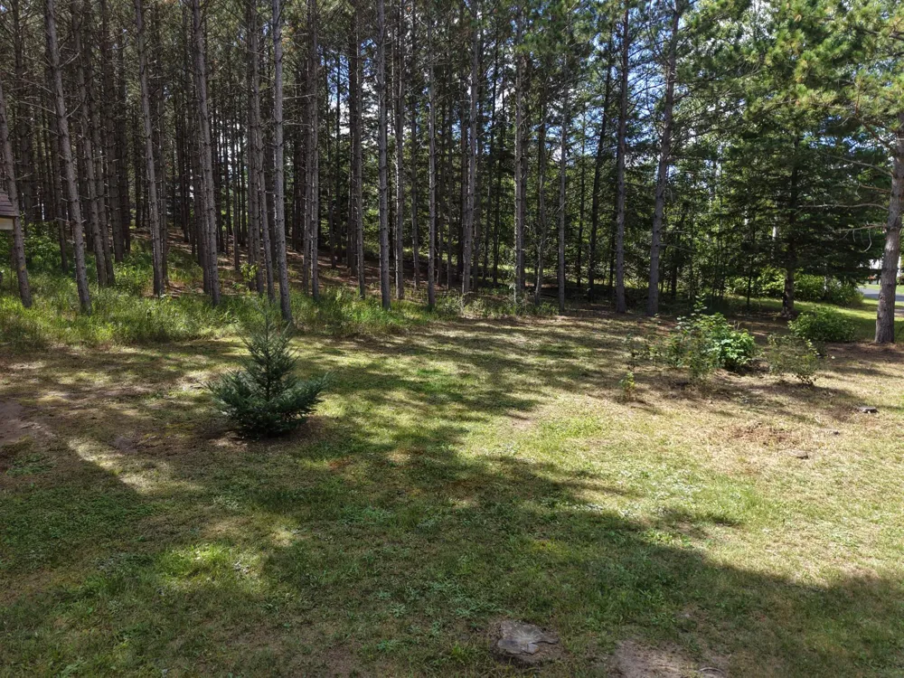 TBD East Avenue Nevis, MN 56467