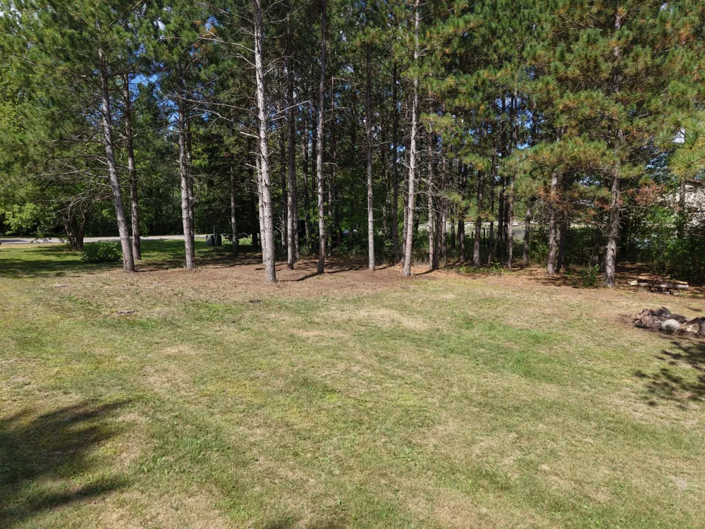 TBD East Avenue Nevis, MN 56467