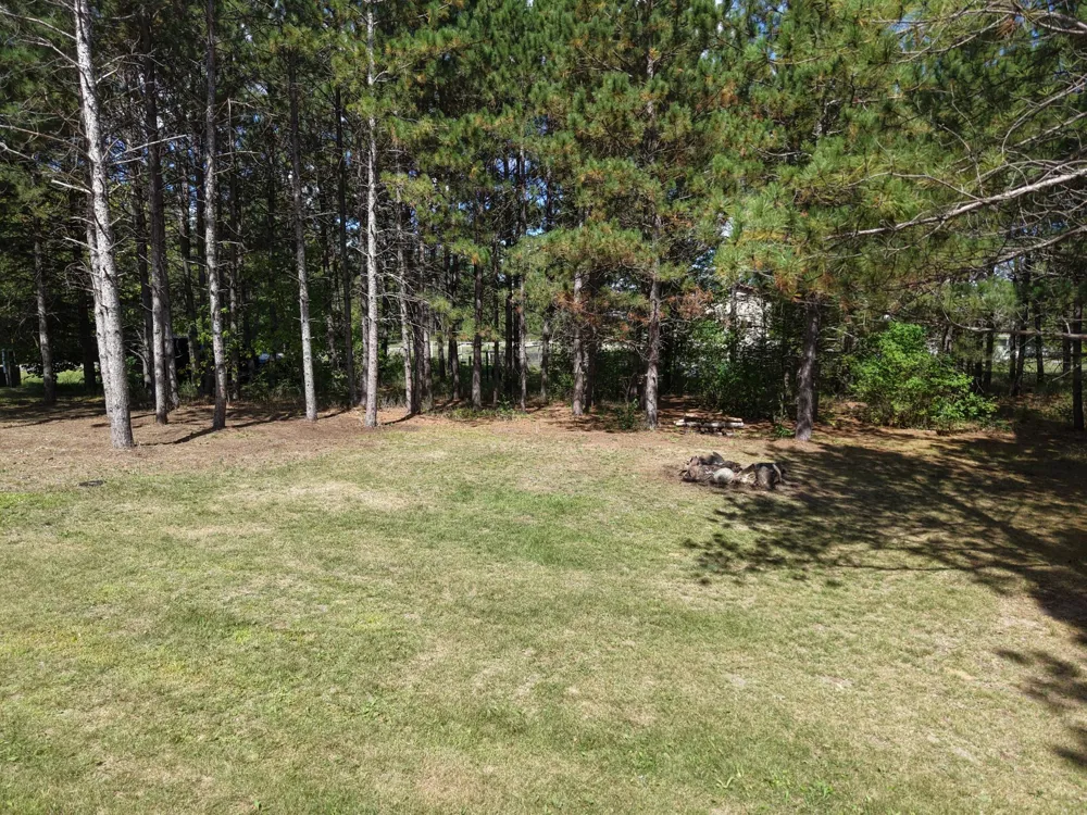 TBD East Avenue Nevis, MN 56467