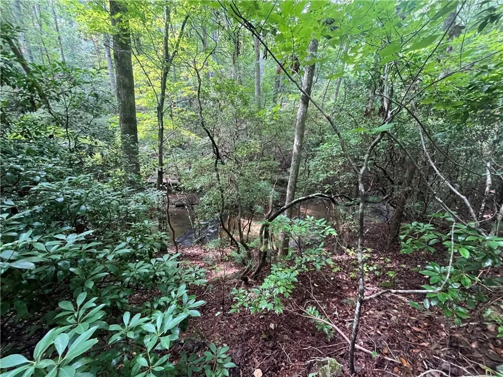 0 Nugget Court Ellijay, GA 30540