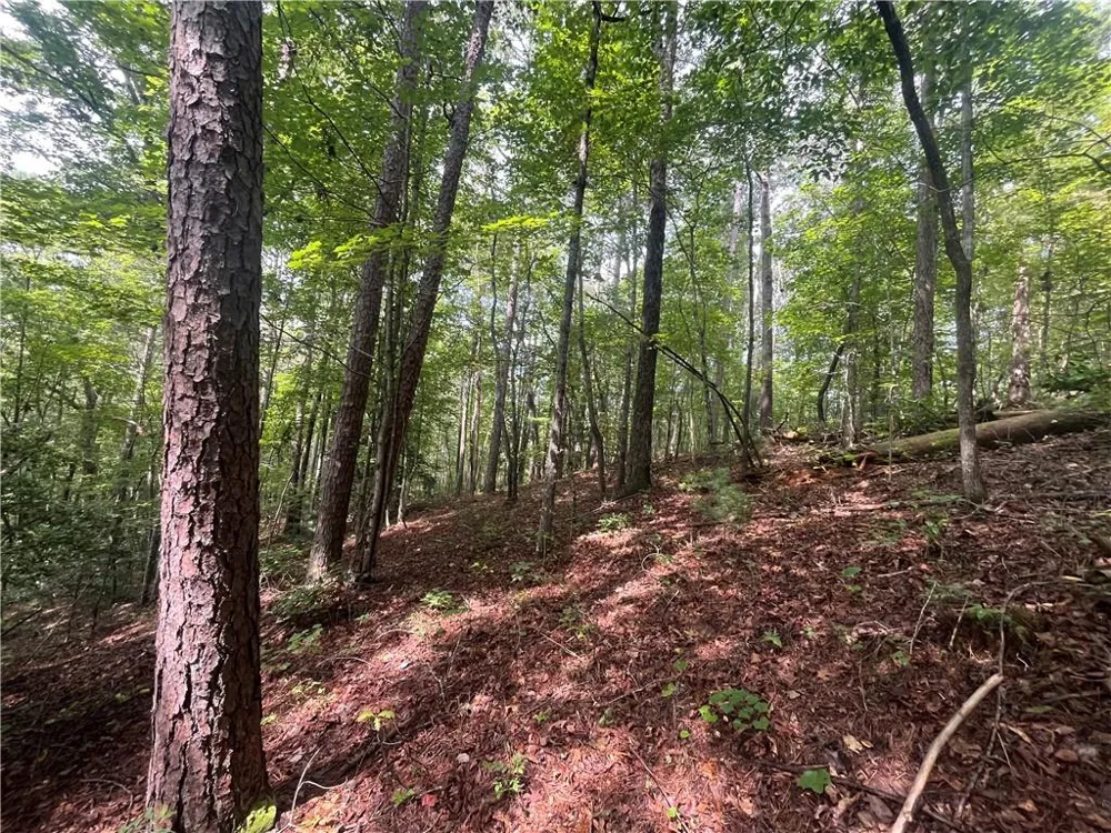0 Nugget Court Ellijay, GA 30540