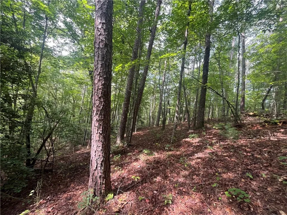 0 Nugget Court Ellijay, GA 30540