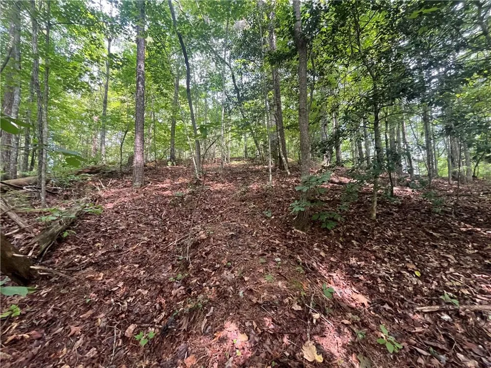 0 Nugget Court Ellijay, GA 30540