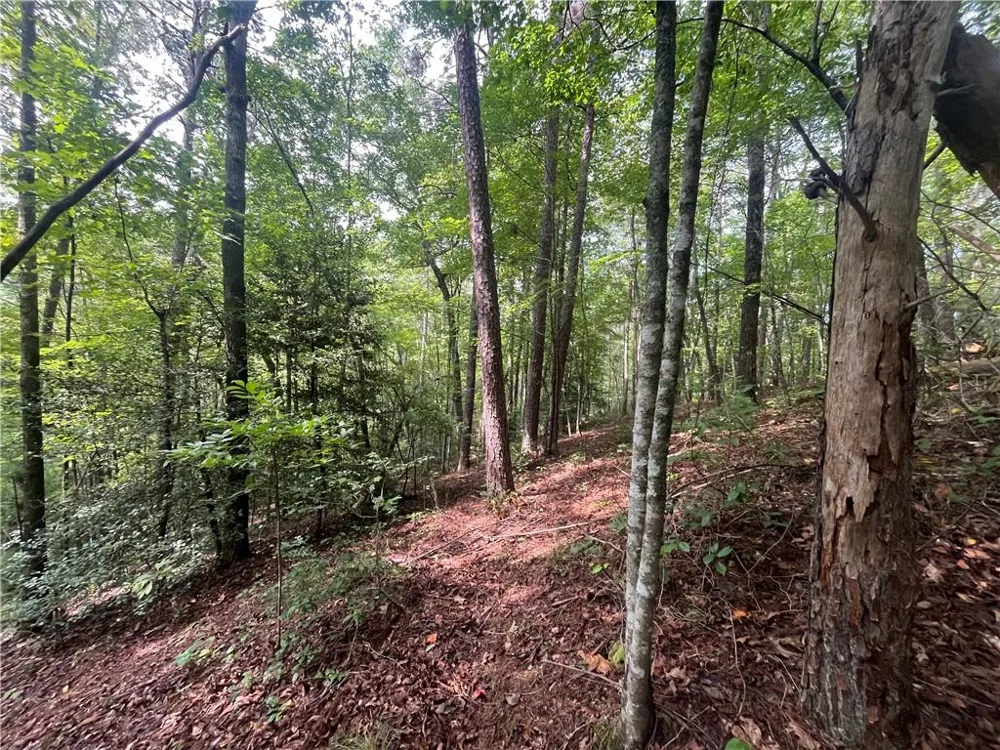 0 Nugget Court Ellijay, GA 30540