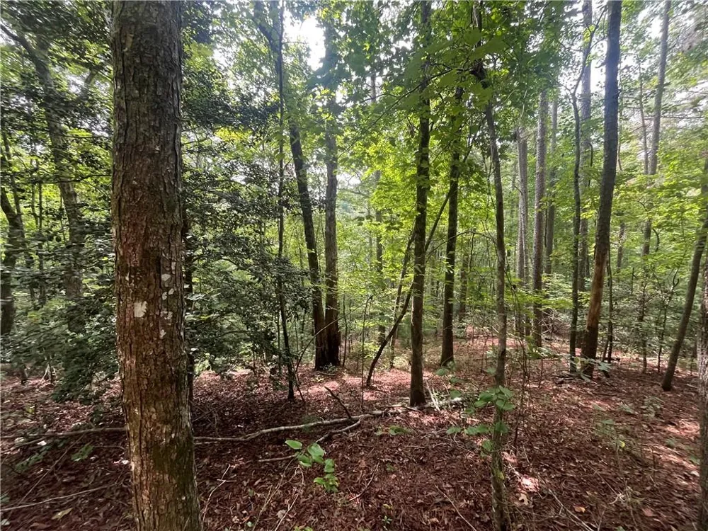 0 Nugget Court Ellijay, GA 30540