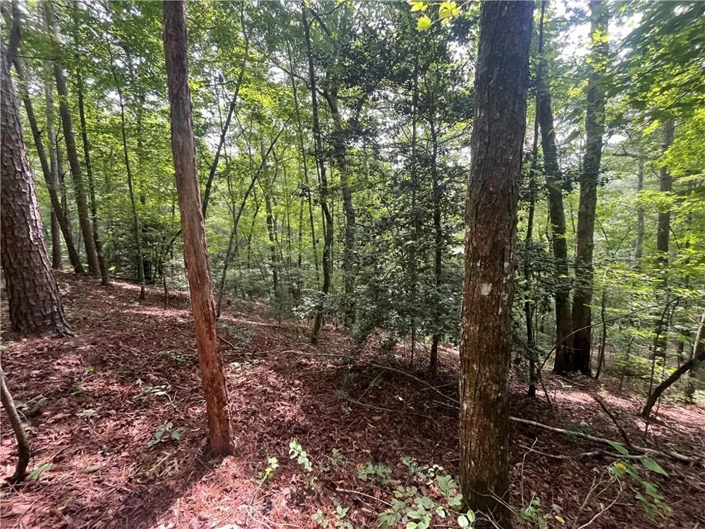 0 Nugget Court Ellijay, GA 30540