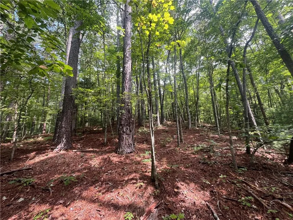 0 Nugget Court Ellijay, GA 30540
