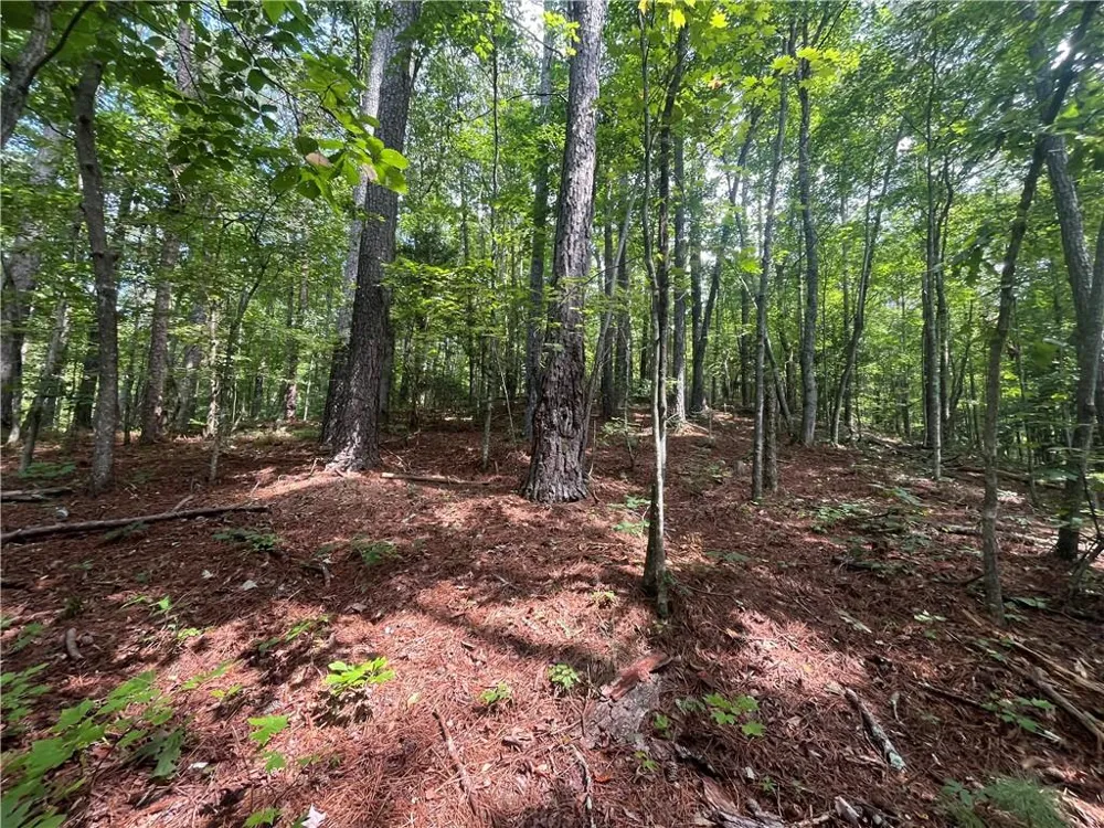 0 Nugget Court Ellijay, GA 30540