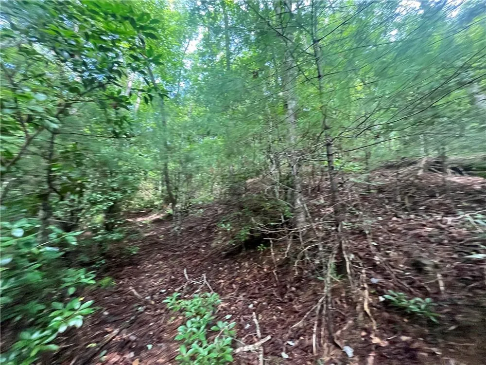 0 Nugget Court Ellijay, GA 30540