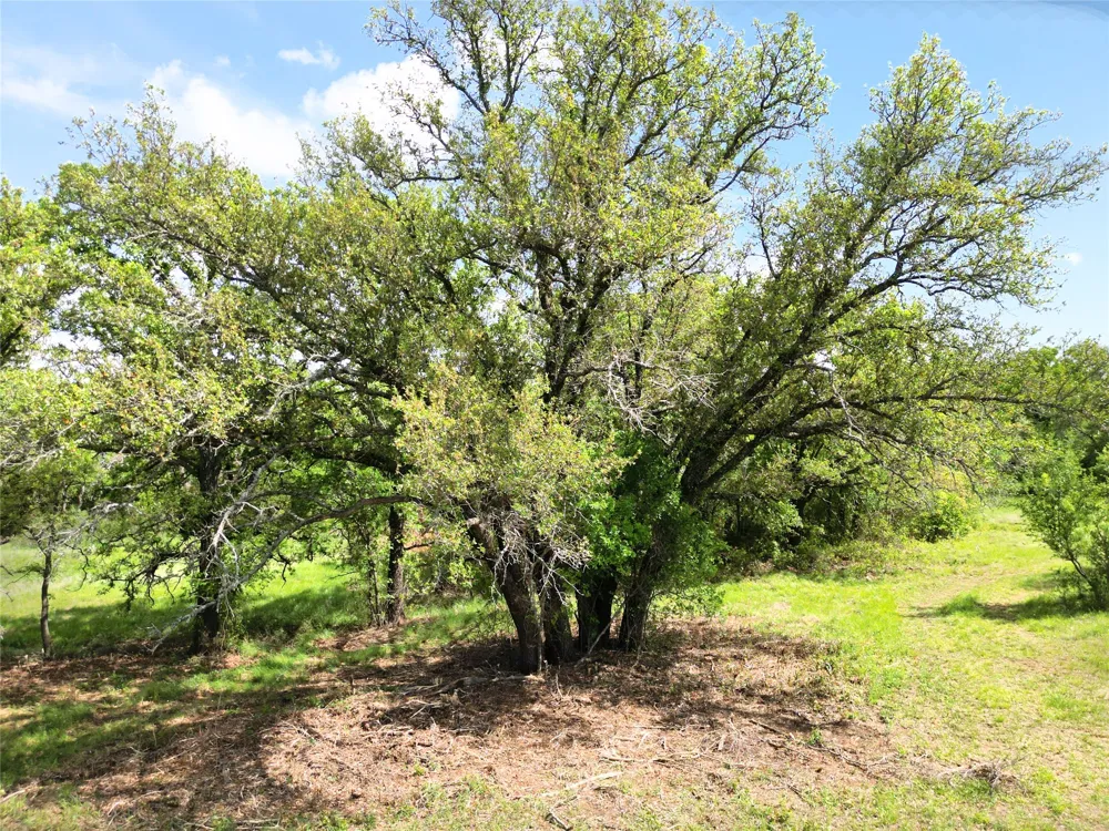 FM 2526 & 569 Cisco, TX 76437