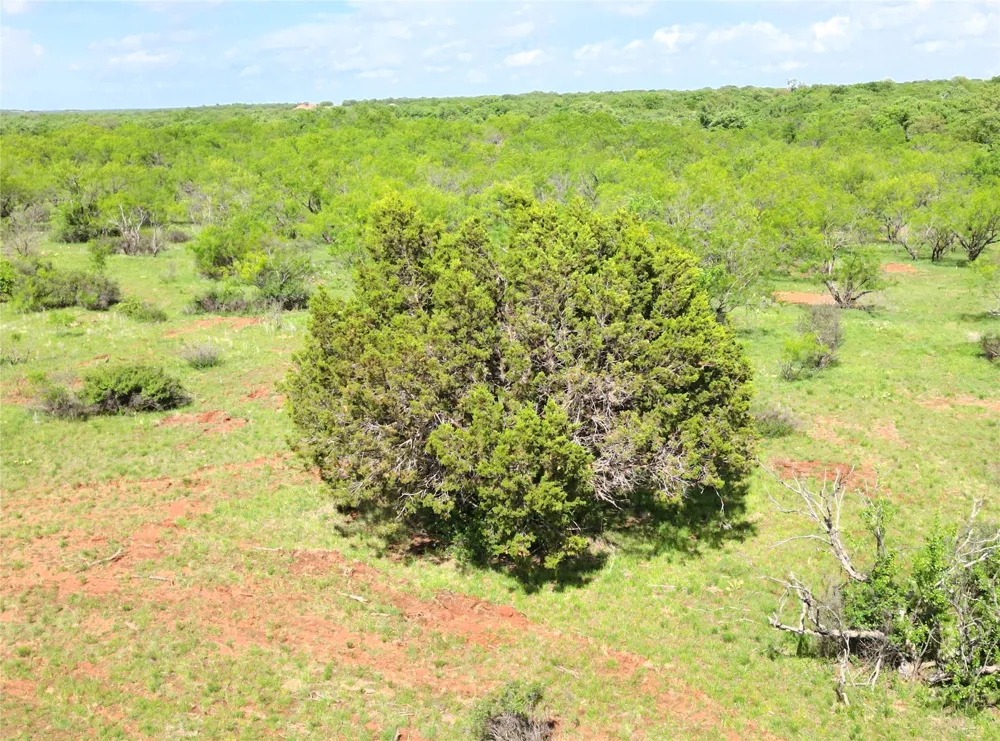 FM 2526 & 569 Cisco, TX 76437