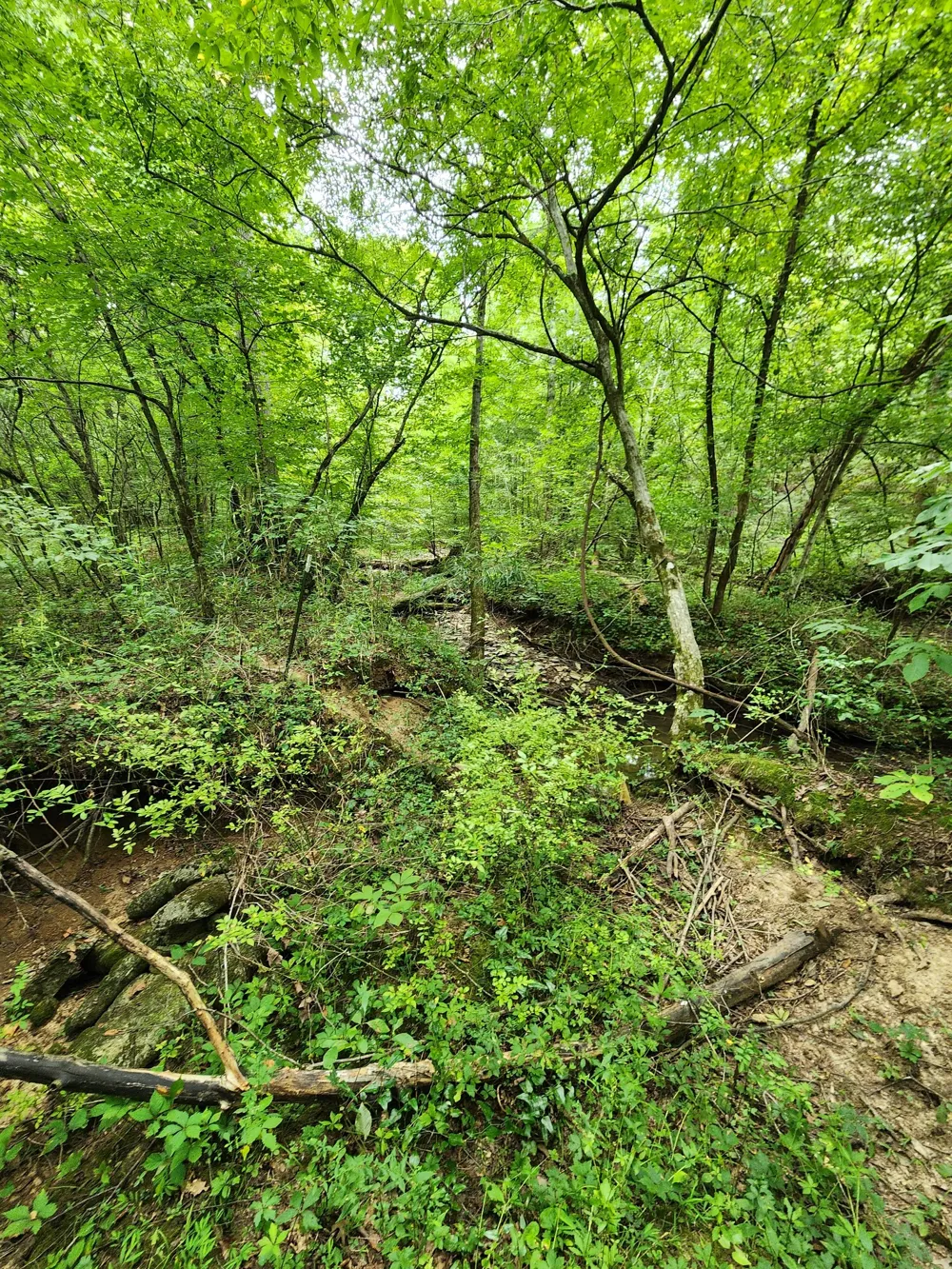 2754 Scribners Mill Rd Culleoka, TN 38451