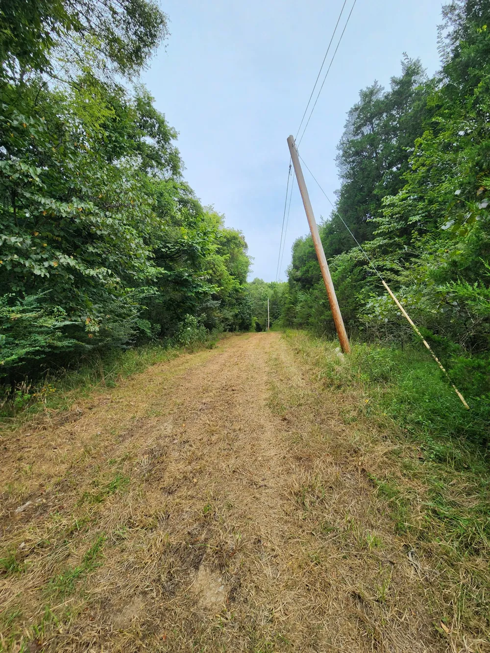 2754 Scribners Mill Rd Culleoka, TN 38451