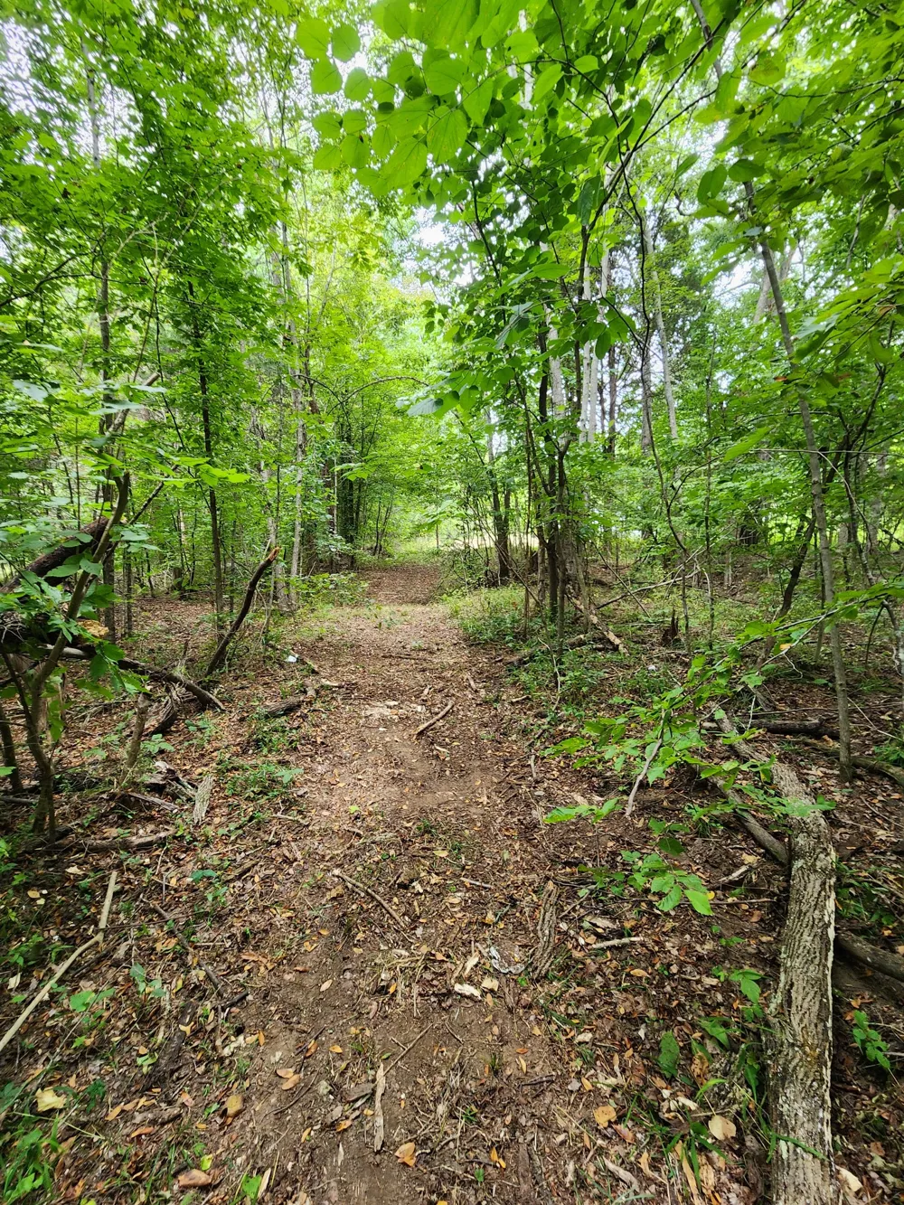 2754 Scribners Mill Rd Culleoka, TN 38451