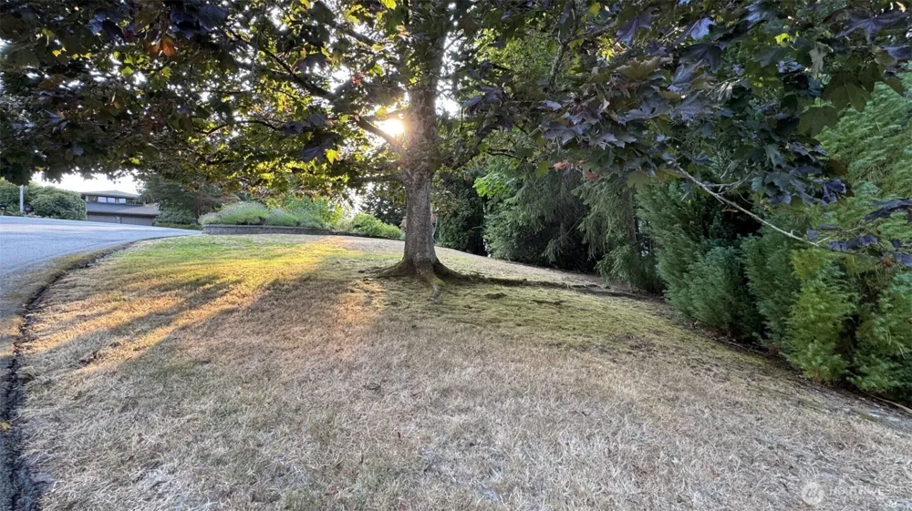 2615 93rd Place NE Clyde Hill, WA 98004