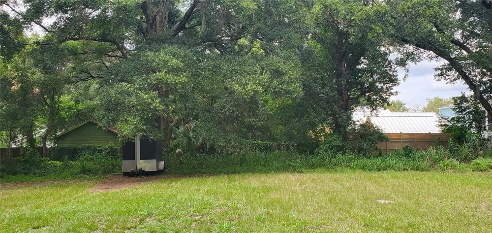 206 E PINE AVENUE Mount Dora, FL 32757