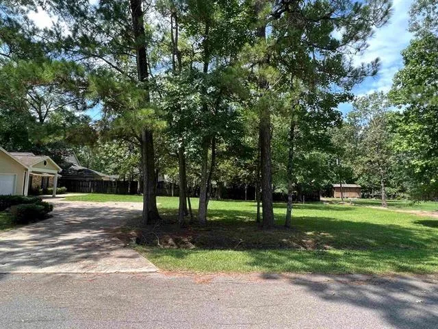1030 Pine Timbers Drive Sour Lake, TX 77659
