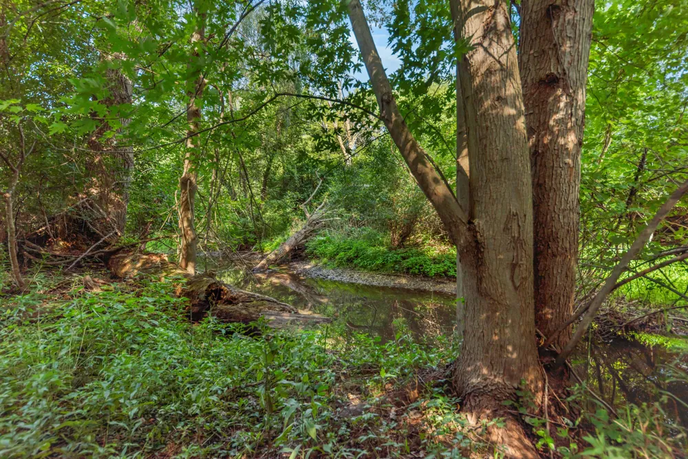 6607 Fleming Creek Drive Ypsilanti, MI 48198