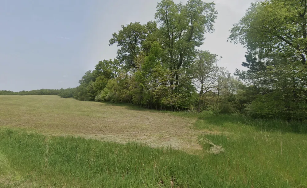 Irving Rd Middleville, MI 49333