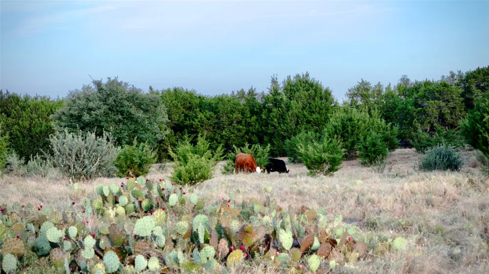 2 Private Road 1240 Lampasas, TX 76550