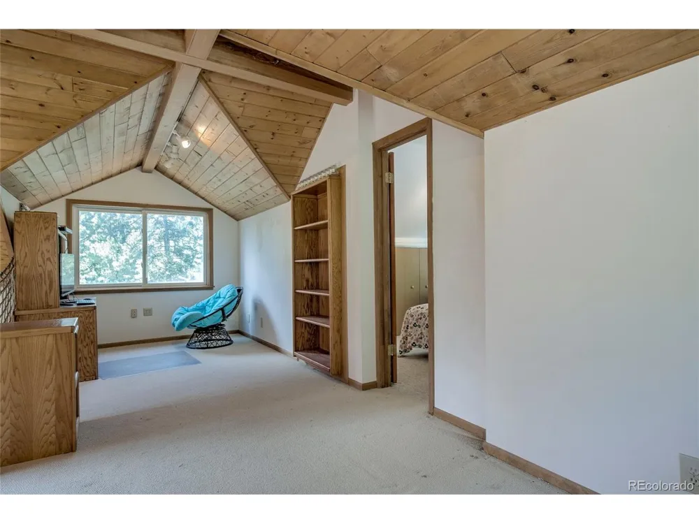 420 Nuthatch Drive Alma, CO 80420