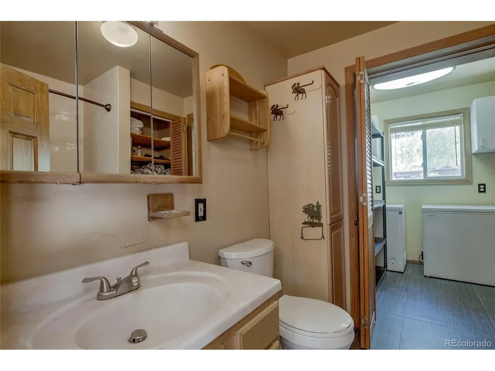420 Nuthatch Drive Alma, CO 80420