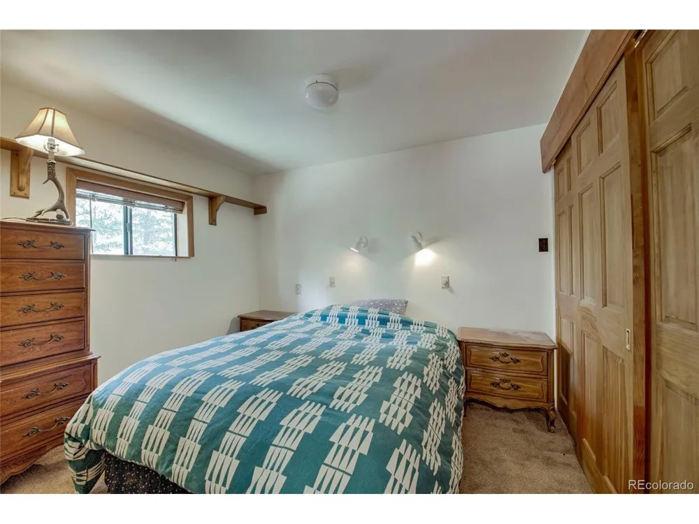 420 Nuthatch Drive Alma, CO 80420