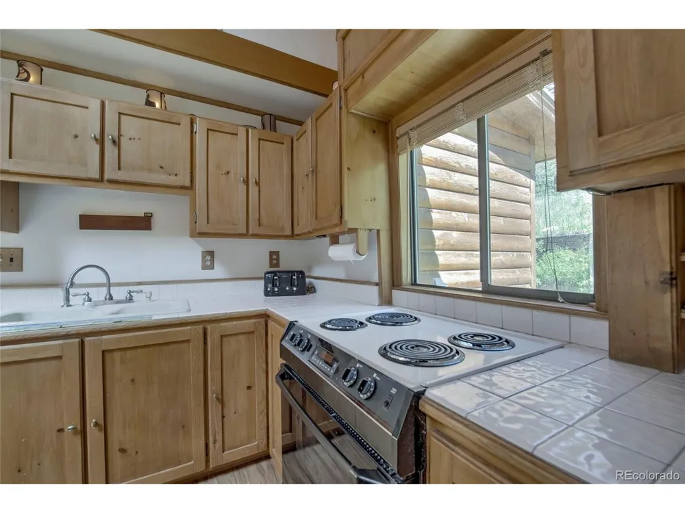 420 Nuthatch Drive Alma, CO 80420